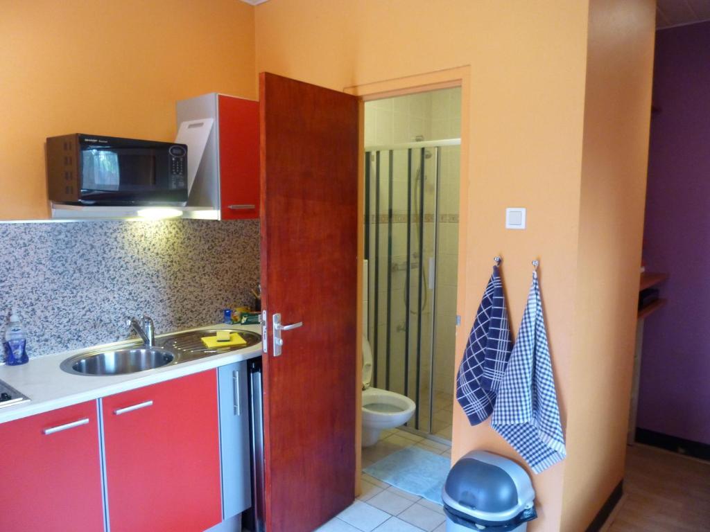 Kekemba Apartments パラマリボ 部屋 写真